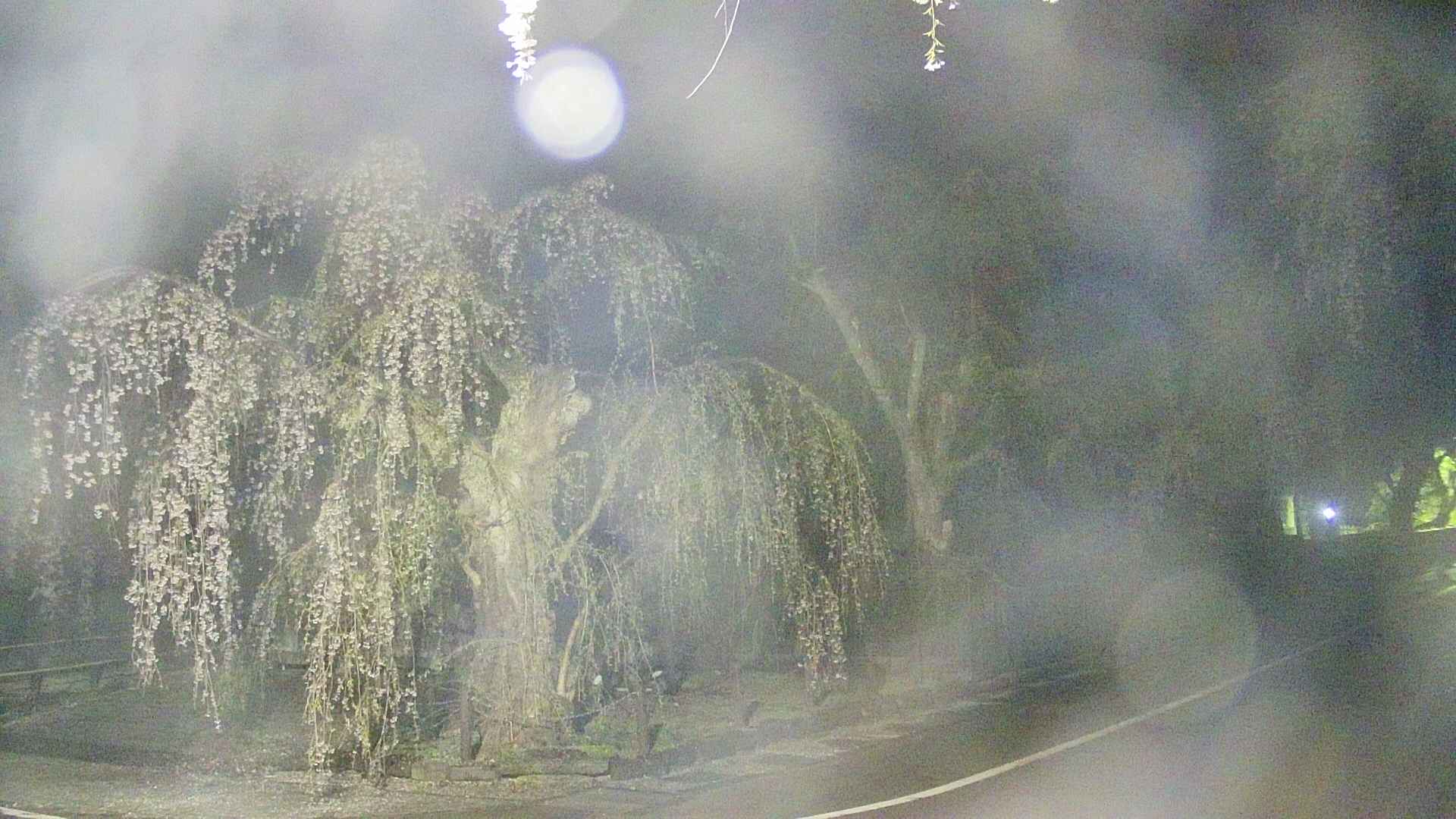 area4-20250427021041.jpg