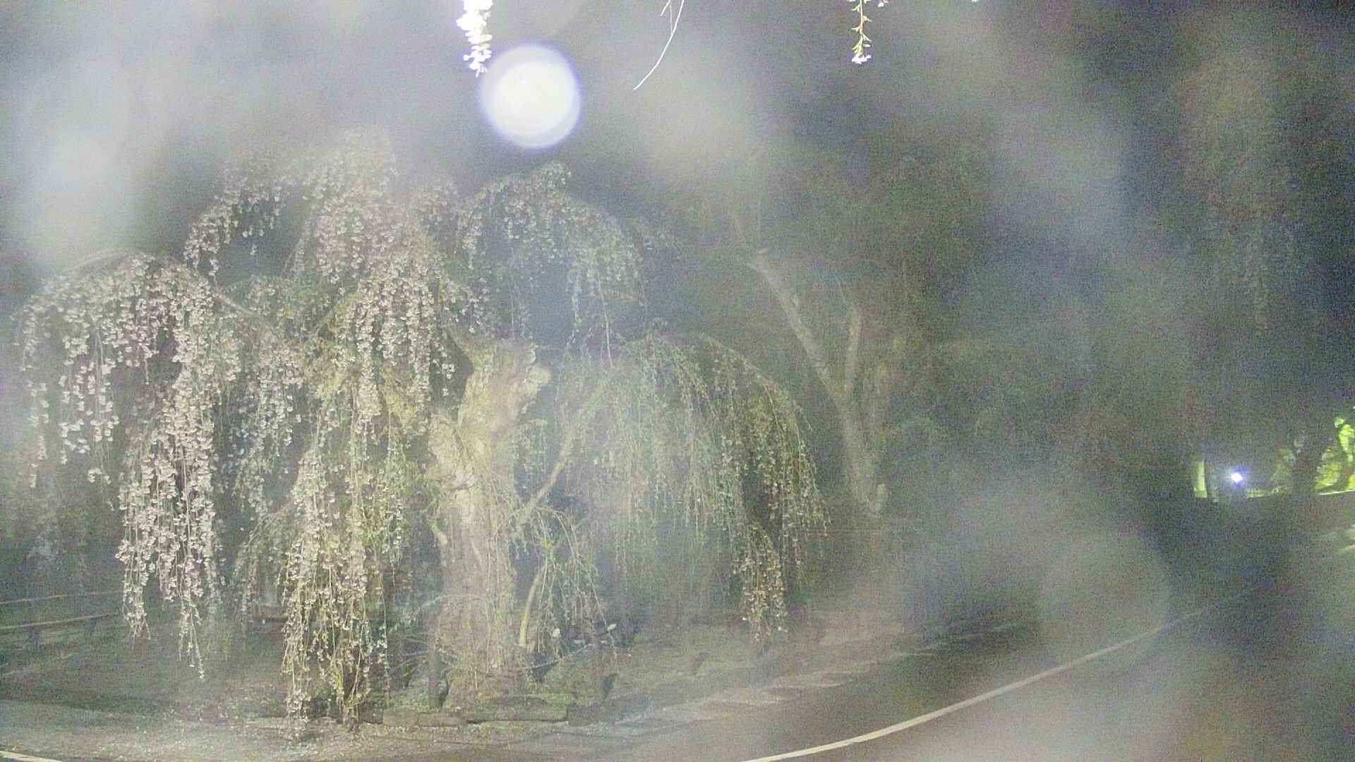 area4-20250427024041.jpg