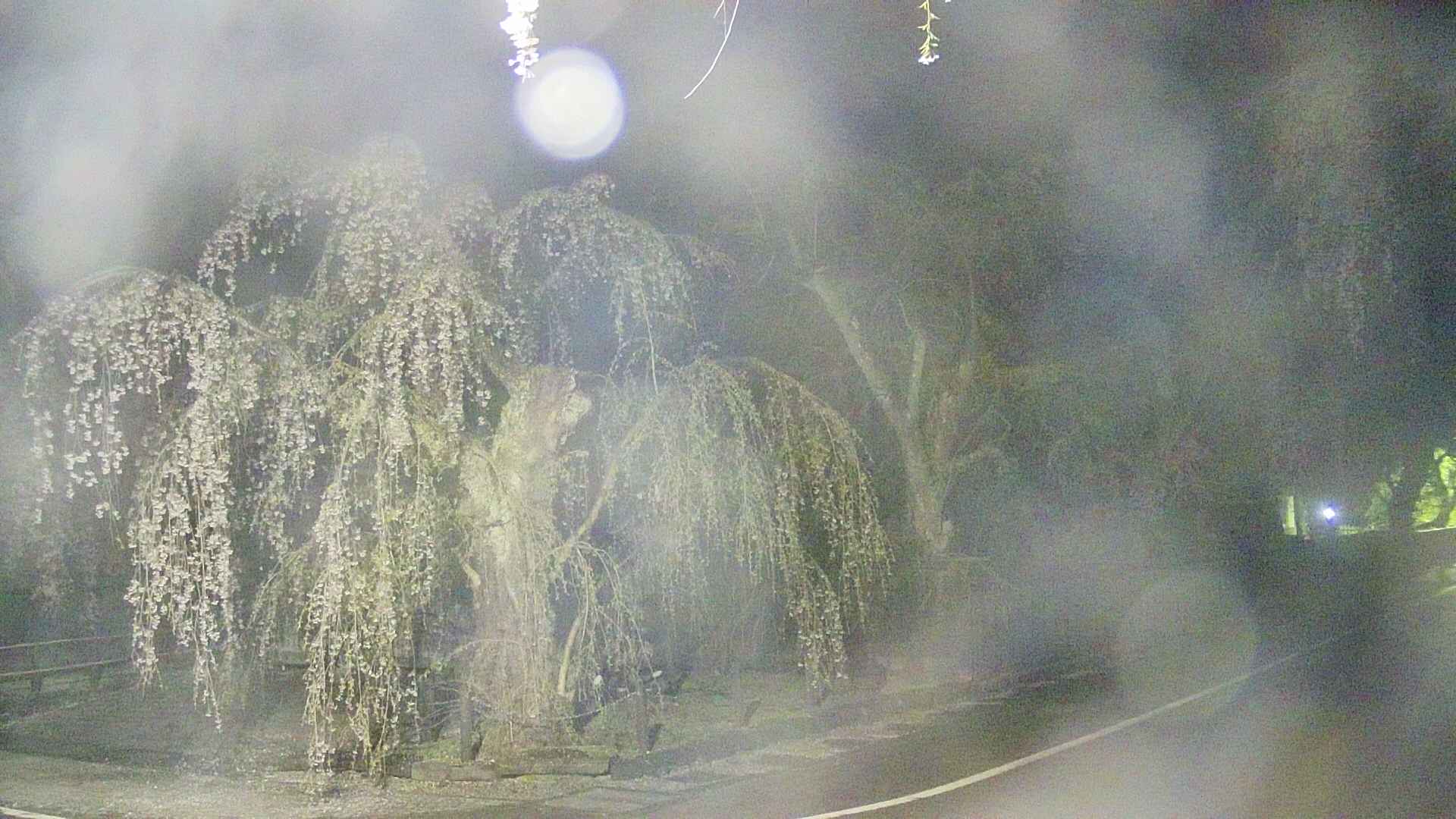 area4-20250427033041.jpg