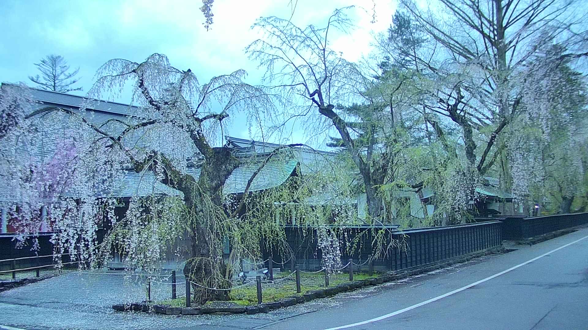 area4-20250427045041.jpg