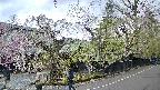 area4-20250427065041.jpg