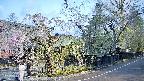 area4-20250427073040.jpg
