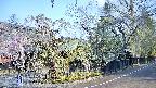 area4-20250427075041.jpg