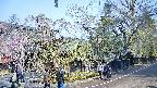 area4-20250427080041.jpg
