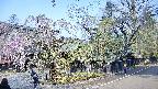 area4-20250427083040.jpg