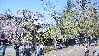 area4-20250427113041.jpg