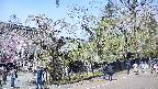 area4-20250427114040.jpg