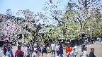 area4-20250427115041.jpg