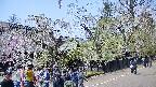 area4-20250427120042.jpg