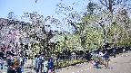 area4-20250427121041.jpg