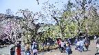 area4-20250427123042.jpg