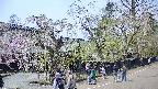 area4-20250427124040.jpg