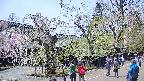 area4-20250427125039.jpg