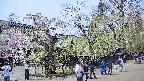 area4-20250427130042.jpg
