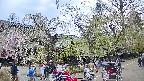area4-20250427140041.jpg
