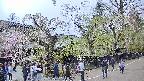 area4-20250427144040.jpg