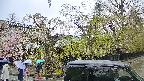 area4-20250427170039.jpg