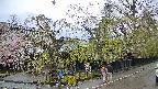area4-20250427172040.jpg