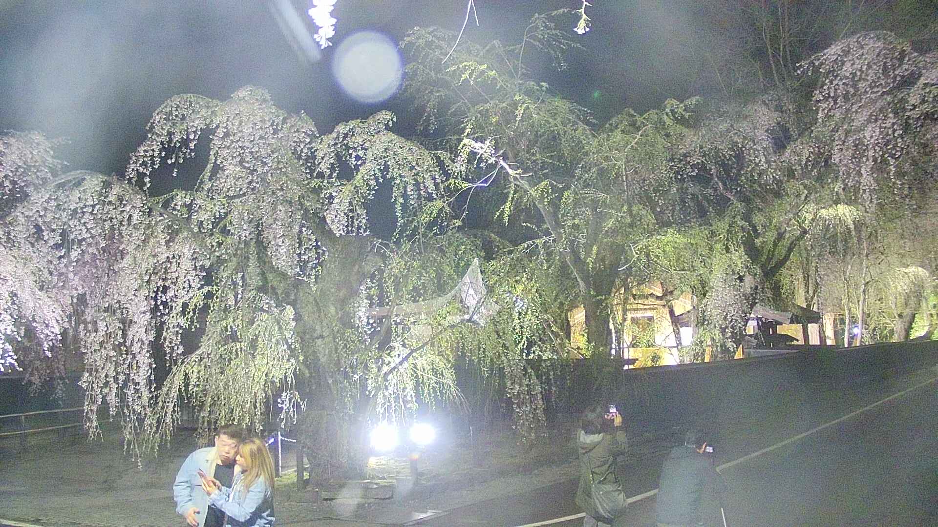 area4-20250427211041.jpg
