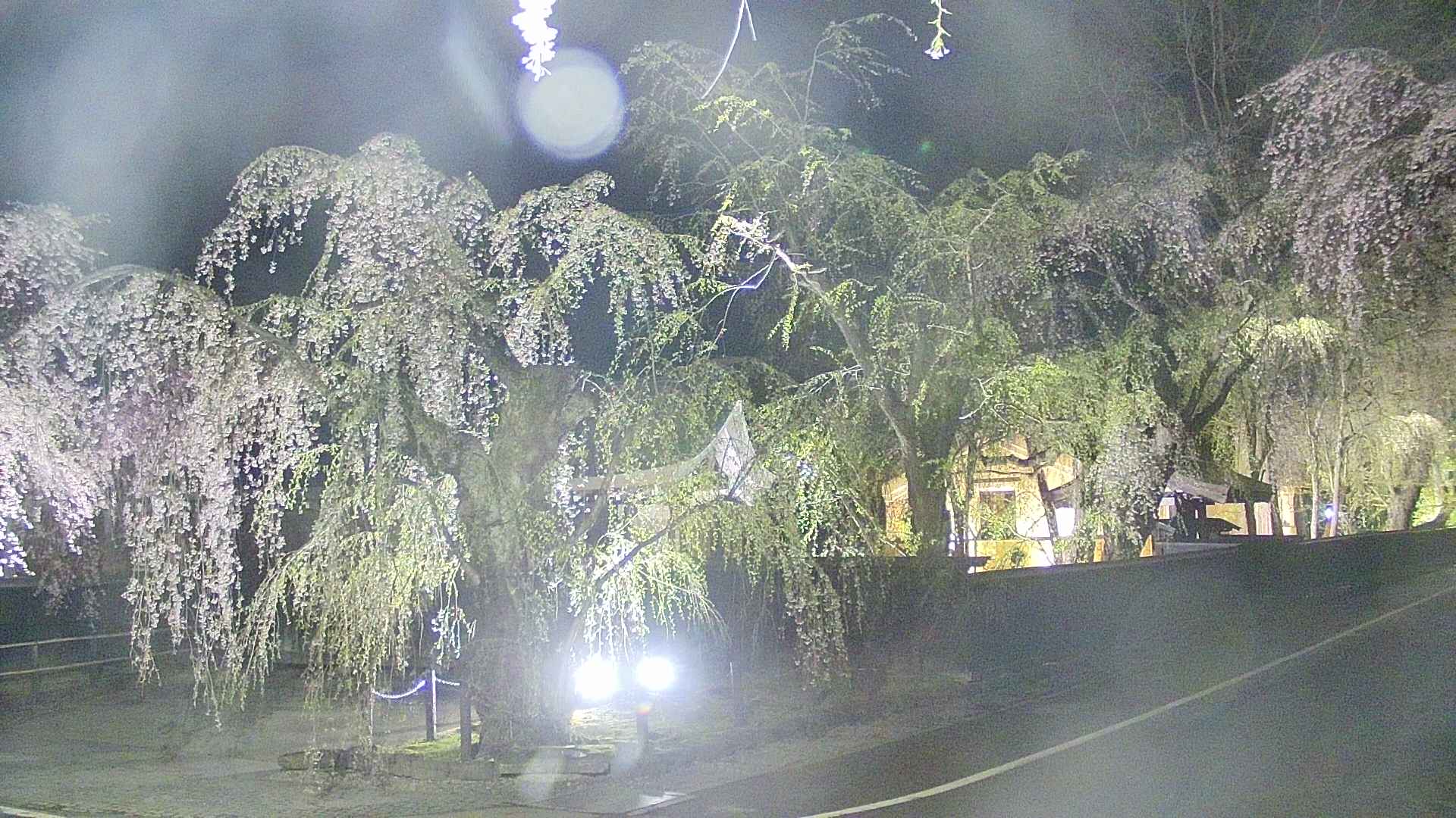 area4-20250427212041.jpg