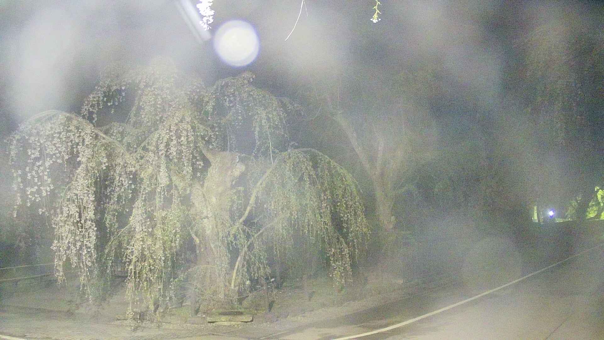 area4-20250428021040.jpg