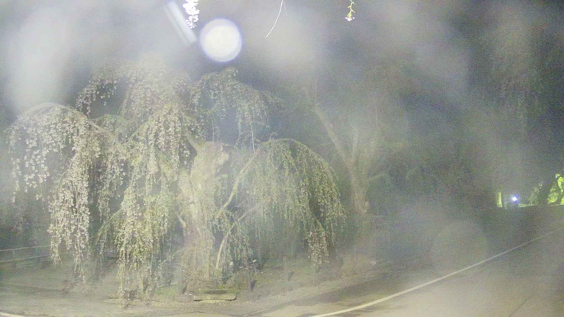 area4-20250428035041.jpg