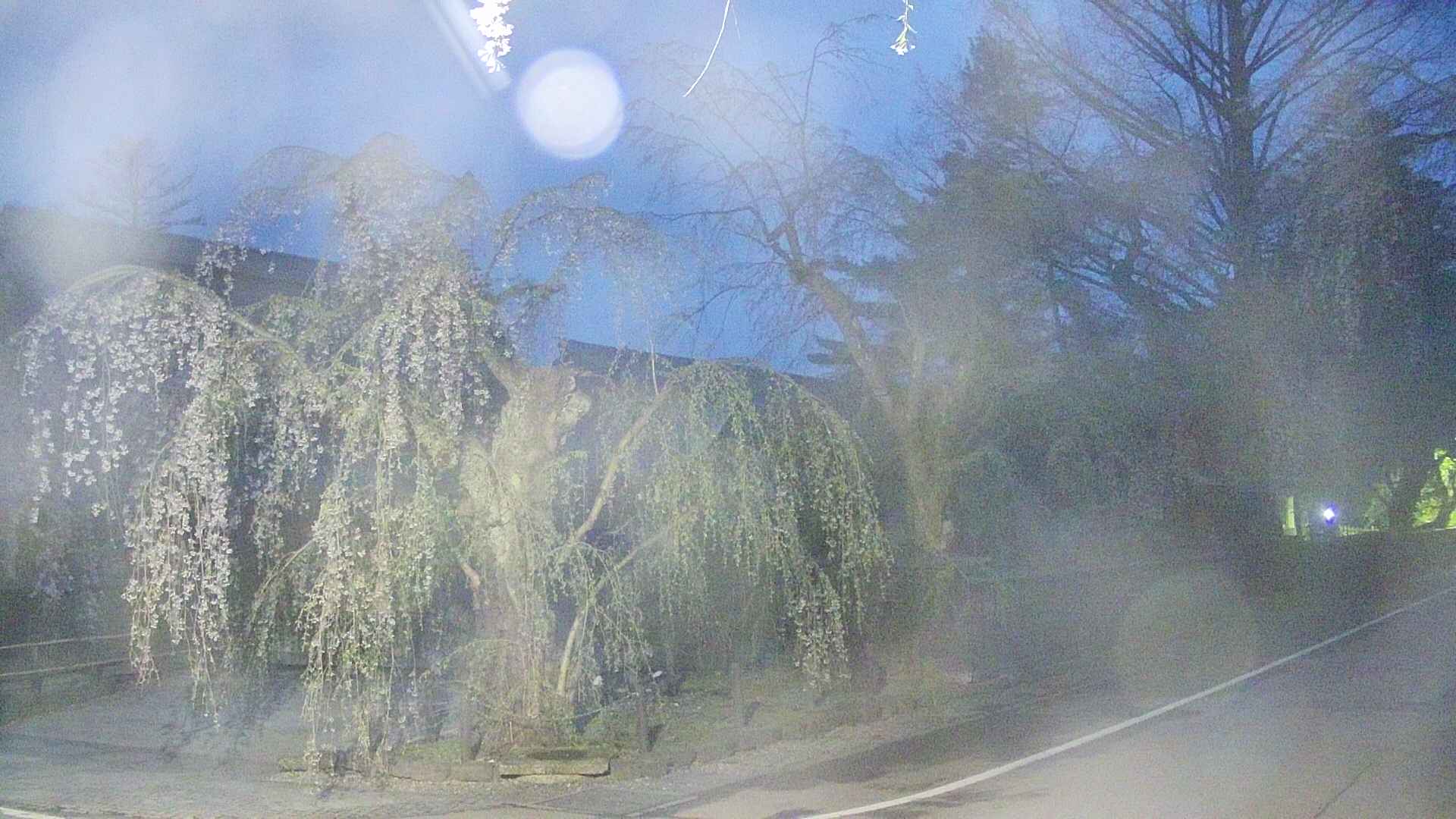 area4-20250428041041.jpg