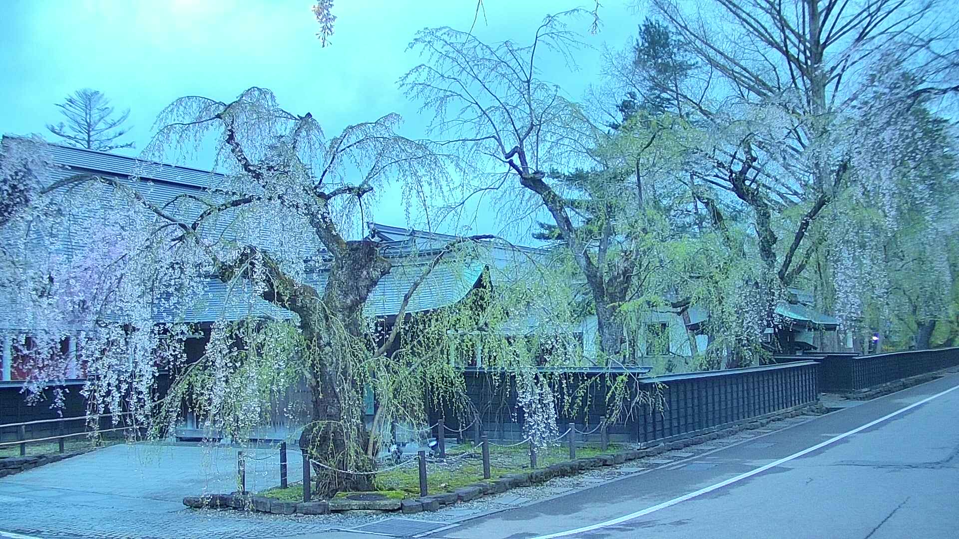 area4-20250428044040.jpg