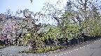 area4-20250428065041.jpg