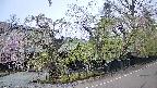 area4-20250428072040.jpg