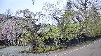 area4-20250428073040.jpg