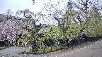 area4-20250428074041.jpg