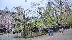 area4-20250428120042.jpg