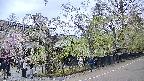 area4-20250428123042.jpg