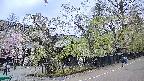 area4-20250428124040.jpg