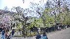 area4-20250428125040.jpg