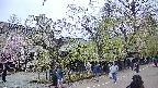 area4-20250428130040.jpg