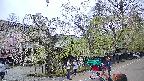 area4-20250428132041.jpg