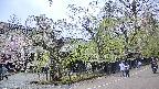 area4-20250428134040.jpg