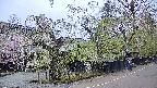 area4-20250428135041.jpg