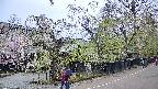 area4-20250428141042.jpg