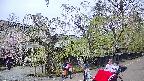 area4-20250428142039.jpg
