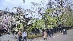 area4-20250428143041.jpg