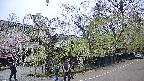 area4-20250428150041.jpg