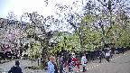 area4-20250428151041.jpg