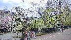 area4-20250428154041.jpg