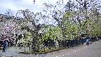 area4-20250428155039.jpg
