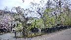 area4-20250428160041.jpg