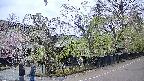 area4-20250428161041.jpg