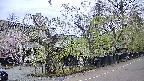 area4-20250428162040.jpg